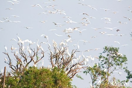 海阳省拨出近两万美元投入白鹭岛风景区生态保护基础设施