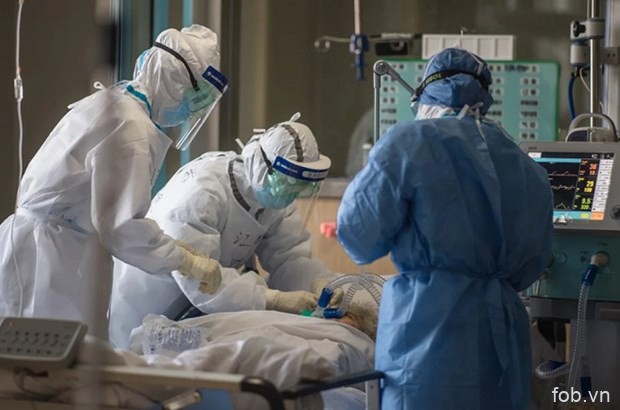 越南发现第33例新冠肺炎感染病例