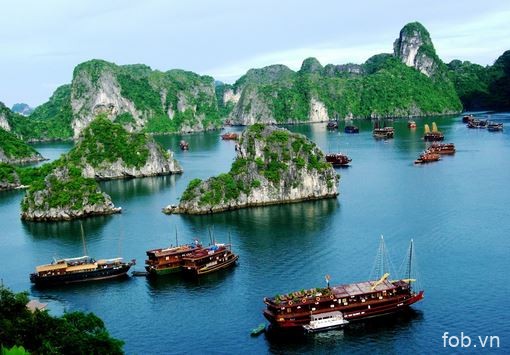 越南在各重点市场进行旅游推广